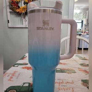 Used Pool Ombre Stanely